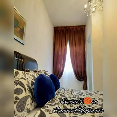 Muslim Boutique Apartment With Balcony Tanah Rata Exterior photo